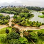 Despachante no Jardim Ibirapuera