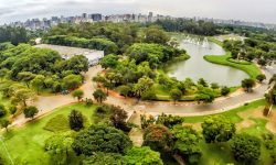 Despachante no Jardim Ibirapuera