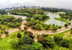 Despachante no Jardim Ibirapuera