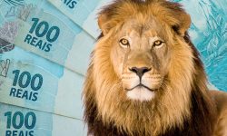 Como Declarar Veículos no Imposto de Renda