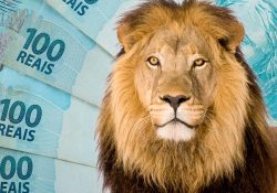 Como Declarar Veículos no Imposto de Renda